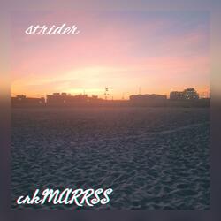 Strider