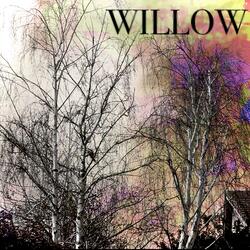Willow