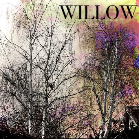 Willow