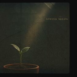 Sowing Seeds