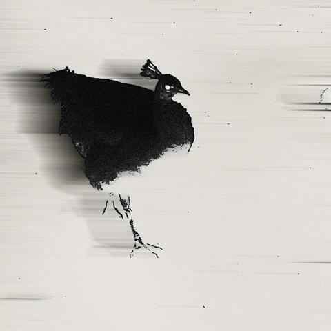 the moon & the stars