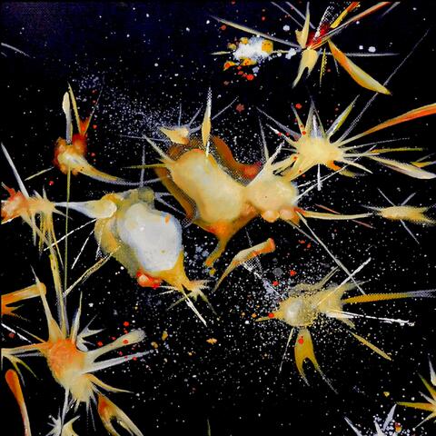 SPARK