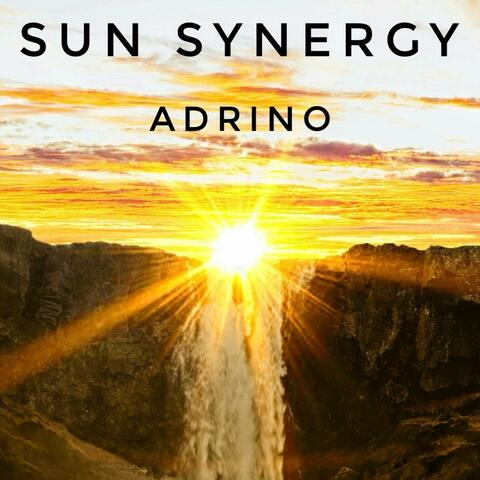 Sun Synergy