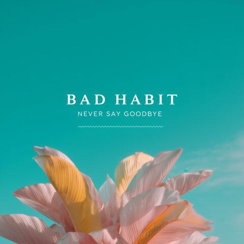Never Say Goodbye