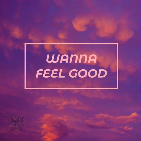 Wanna Feel Good