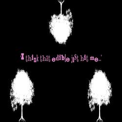 'I think that edible just hit me...'