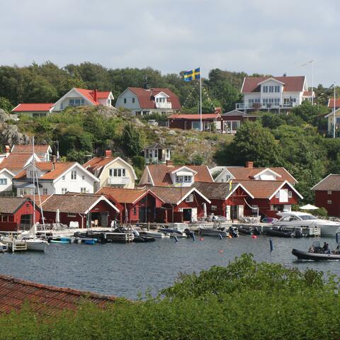 Mon Chérie Bolly Bolly