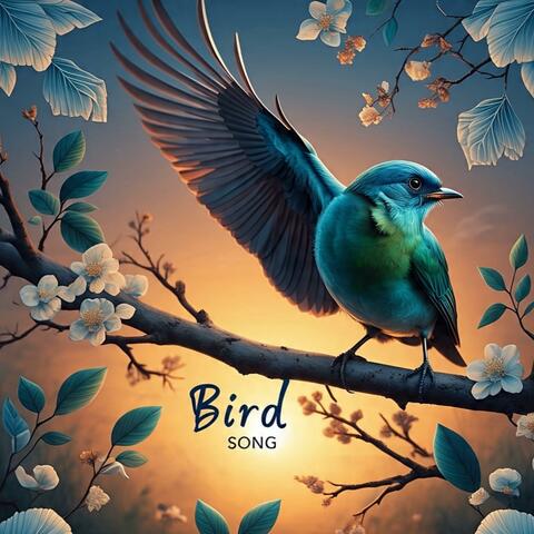 Bird Song