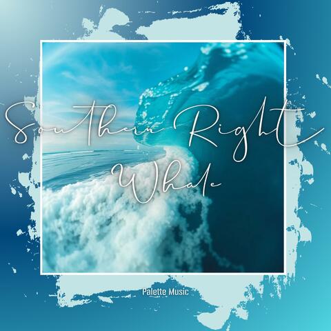 Southern Right Whale