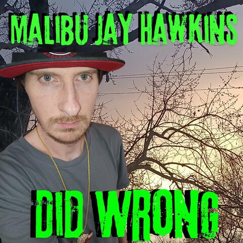 Did Me Wrong