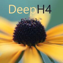 DeepH4