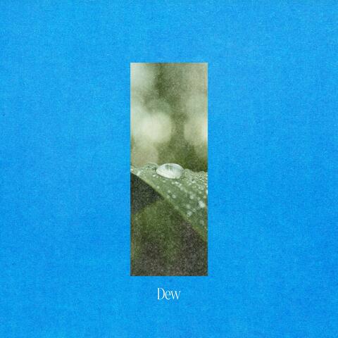 Dew
