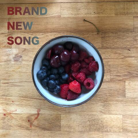 BRAND NEW SONG