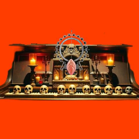 consort pi anu sküll bus