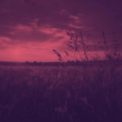 Field