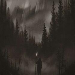 Forgotten forest paths..