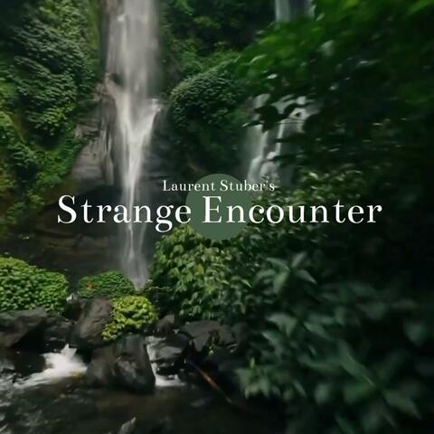 Strange Encounter