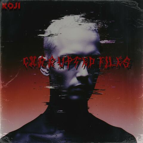 CORRUPTED FILES