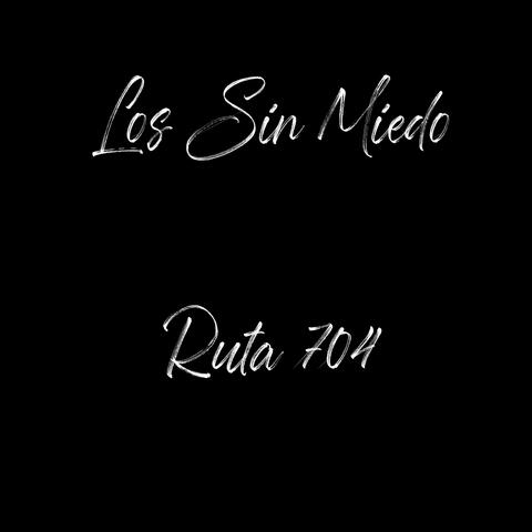 Ruta 704