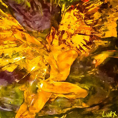 A dead sun for Icarus