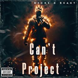 Can't Project