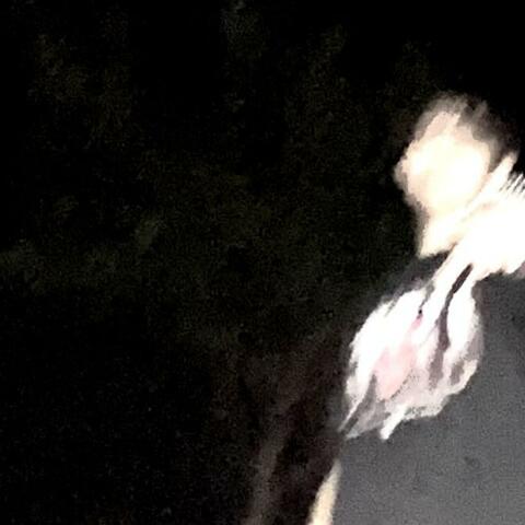 BTN