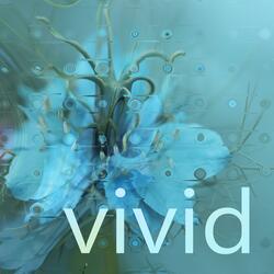 Vivid