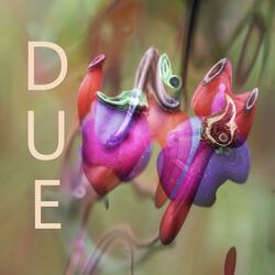 Due