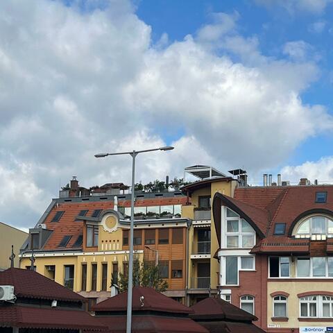 And the neighbourhood woke up