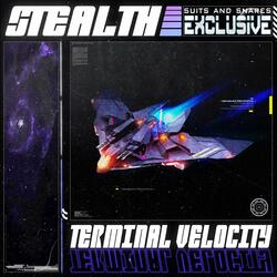 TERMINAL VELOCITY