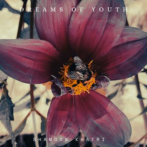Dreams Of Youth
