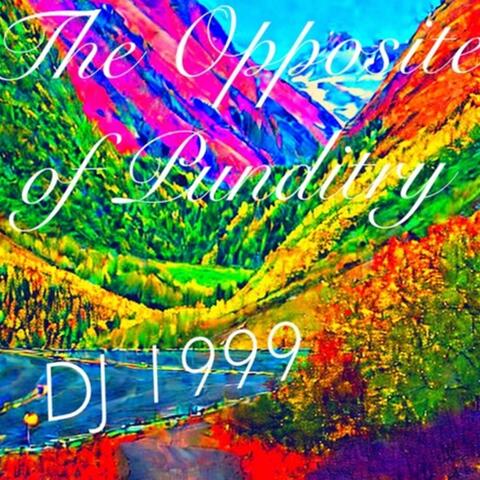 The Opposite of Punditry