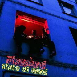 flamànd - state of mind