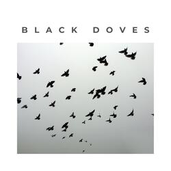 Black Doves