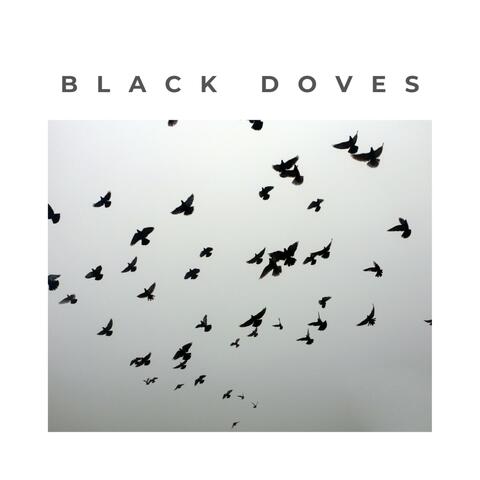 Black Doves