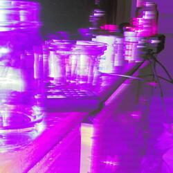 robots can party too