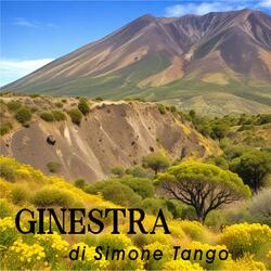 Ginestra