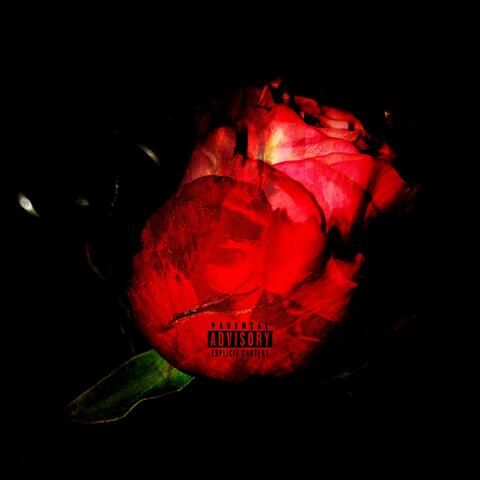 Hood 2 Coast