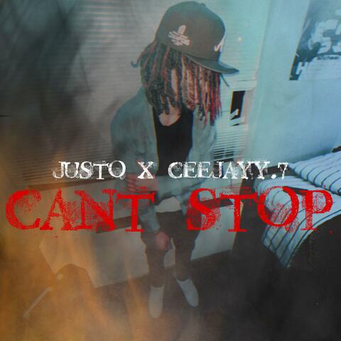 cant stop
