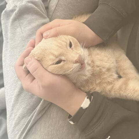 Never Letting Go