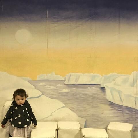 The Voight-Kampff Test