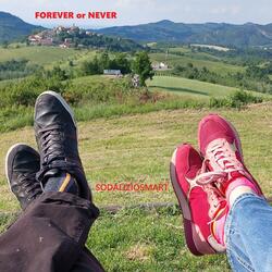 FOREVER OR NEVER