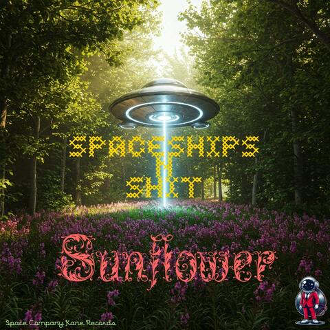 Spaceships N Shit