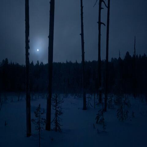 Pimeys Koko Talven