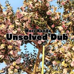 Unsolved Dub
