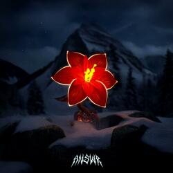 Là où les Fleurs ne Poussent Plus