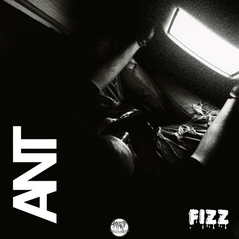 Fizz