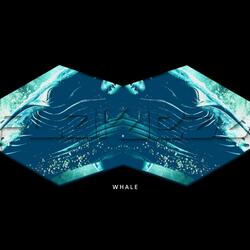 WHALE