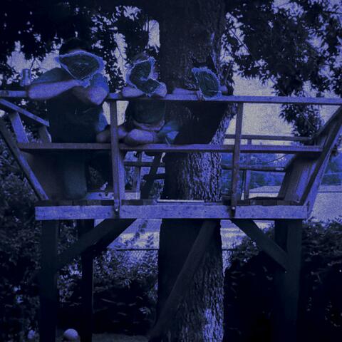in my treehouse