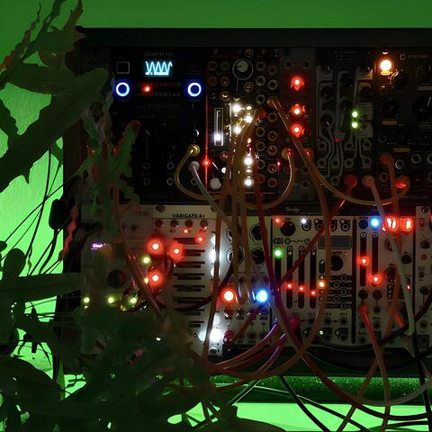 Lifeforms